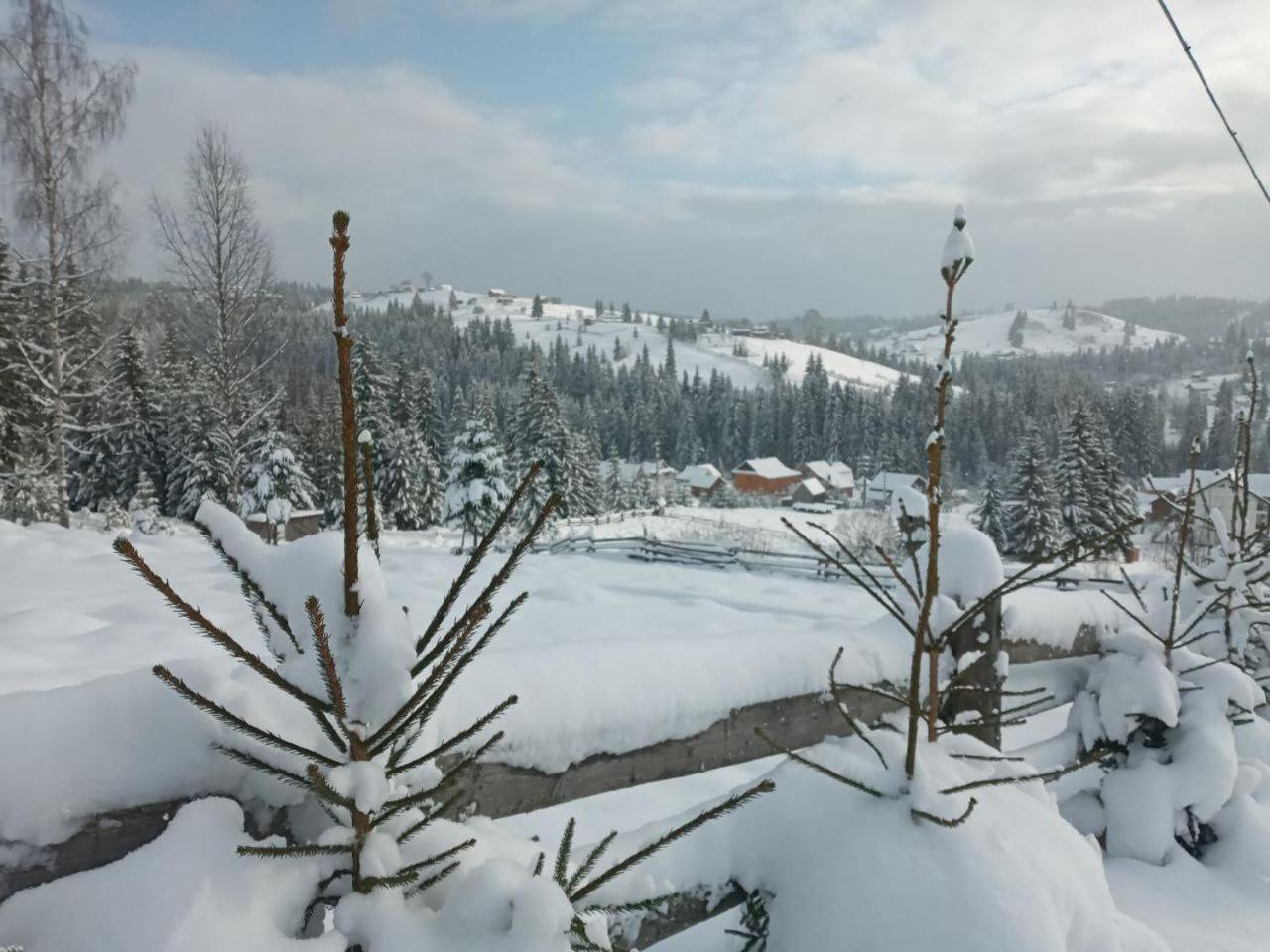 Котеджі Зоряне Небо Bukovel Extérieur photo