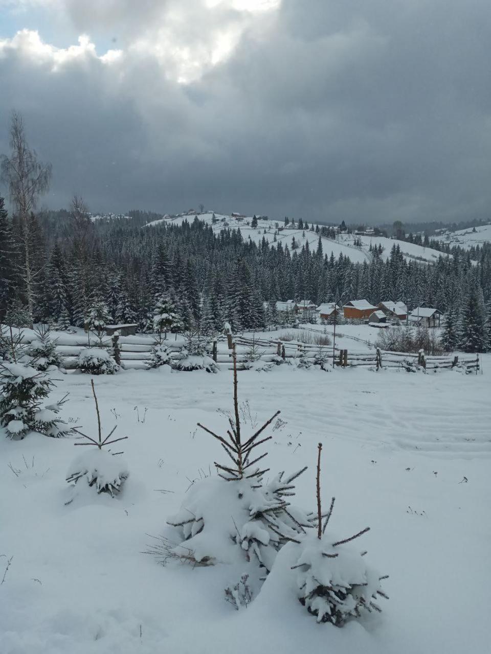 Котеджі Зоряне Небо Bukovel Extérieur photo