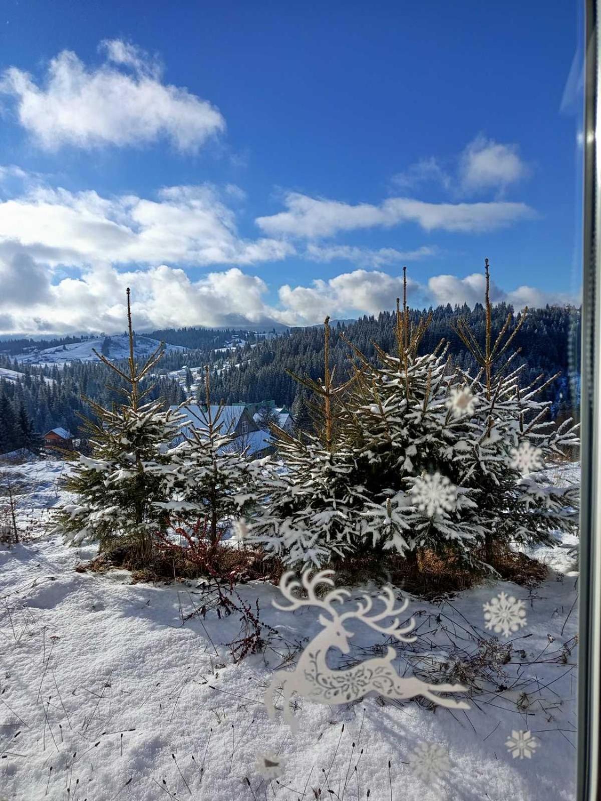 Котеджі Зоряне Небо Bukovel Extérieur photo